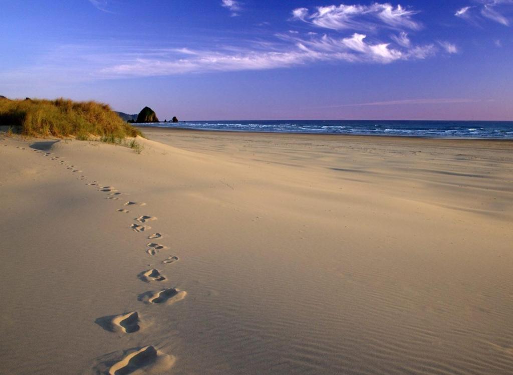 The current image has no alternative text. The file name is: footsteps-colour.jpg